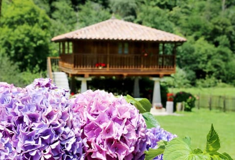 Garden, Decorative detail, Garden view