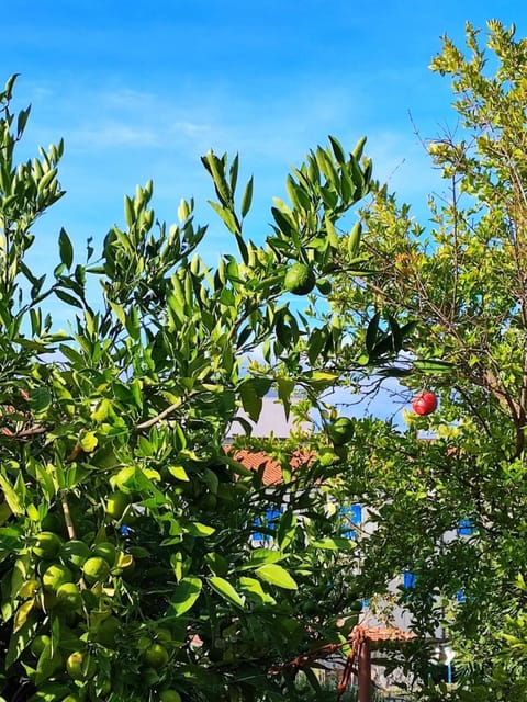 Garden, Garden view