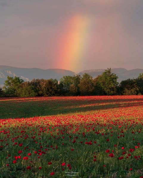 Nearby landmark, Spring, Natural landscape