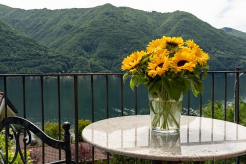 Natural landscape, View (from property/room), Balcony/Terrace, Lake view