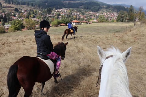 People, Horse-riding, City view