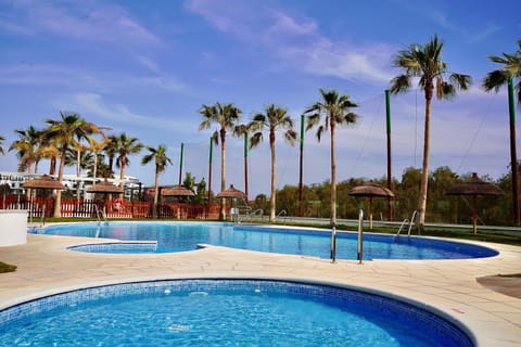 Day, Pool view, Swimming pool, sunbed