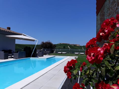 Natural landscape, Pool view, Swimming pool, sunbed