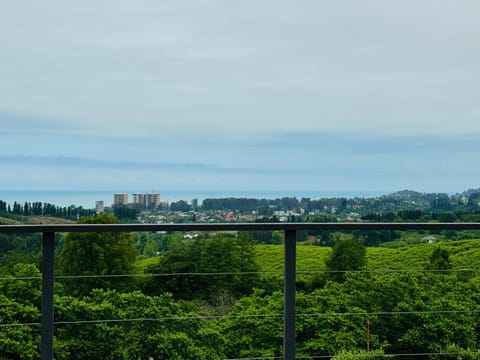 Natural landscape, City view, Sea view