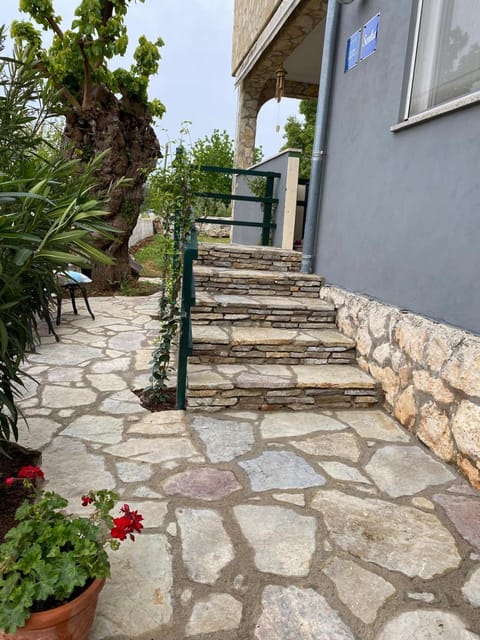 Day, Garden