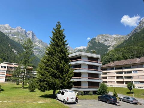 Inner courtyard view