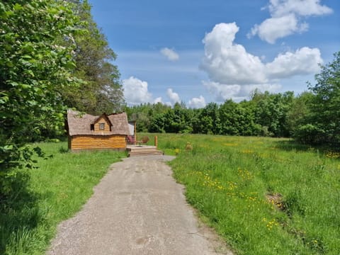 Natural landscape, Garden, Garden view