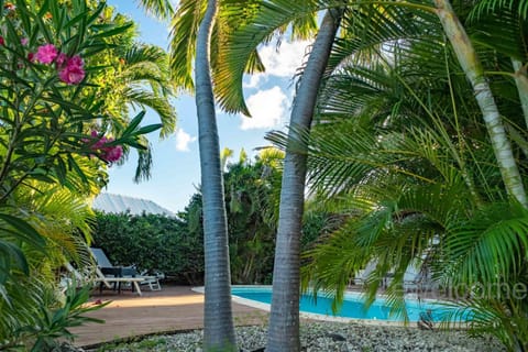 Garden, Pool view, Swimming pool, Swimming pool