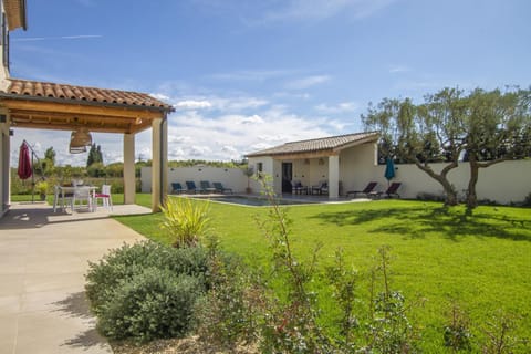 Patio, Garden, Garden view