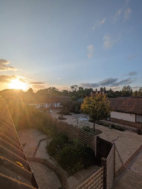 Patio, Garden, Inner courtyard view