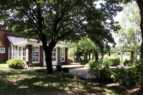 Property building, Garden, Garden view