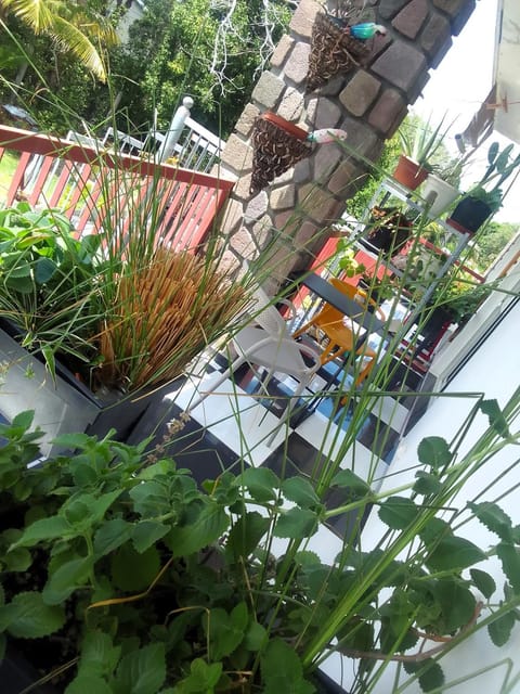 Balcony/Terrace, Garden view