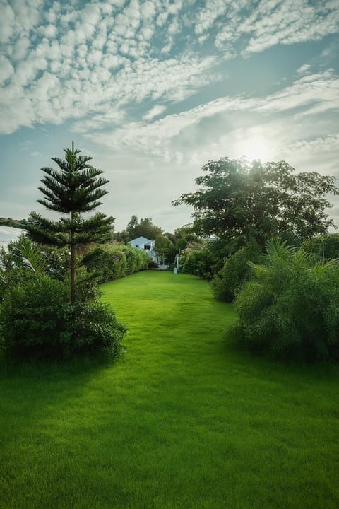 Spring, Natural landscape, Garden, Garden view