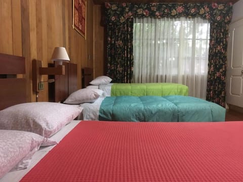Hostal Kutralwe Bed and Breakfast in Pucon