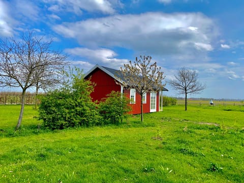 De Heeren Hoeve Carpe Diem Alojamiento y desayuno in Heijen