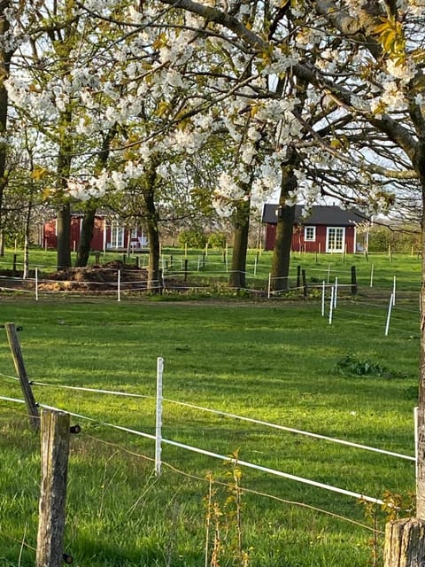 De Heeren Hoeve Carpe Diem Alojamiento y desayuno in Heijen