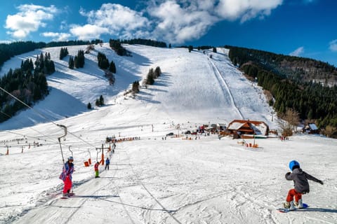 Neighbourhood, Natural landscape, Winter, Ski School, Skiing, Hiking