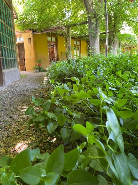 ocre y madera Apartment in Luján de Cuyo