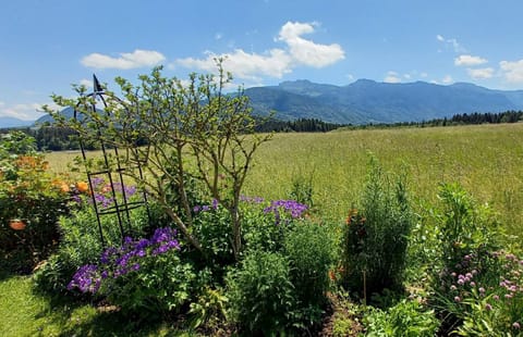 Ferienwohnung Schelzke Apartment in Aschau im Chiemgau