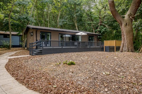 Property building, Garden view