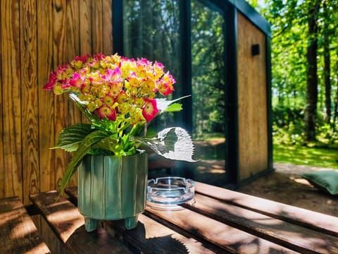 Spring, Day, Garden, Garden view