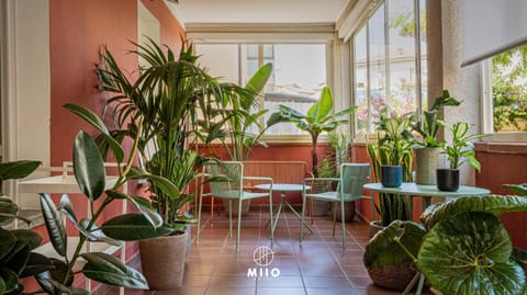 Patio, Garden