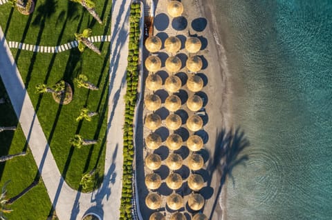 Bird's eye view, Beach