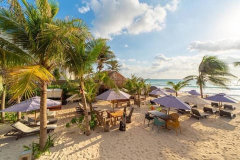 Patio, Beach, Pool view