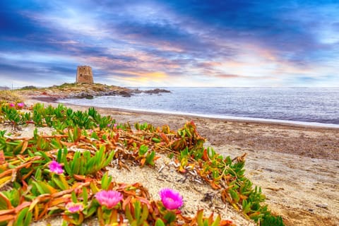 Nearby landmark, Natural landscape, Beach, Sea view