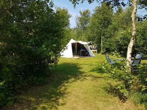 Ameland tentenverhuur Ameland Luxury tent in Nes