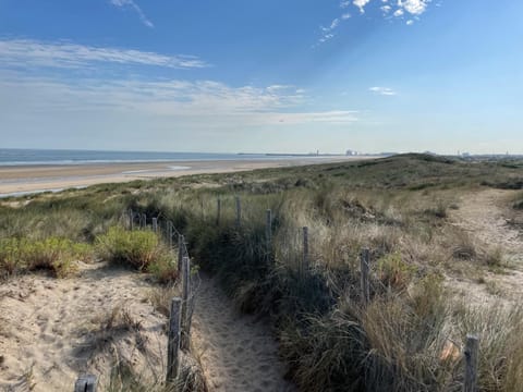 Natural landscape, Beach