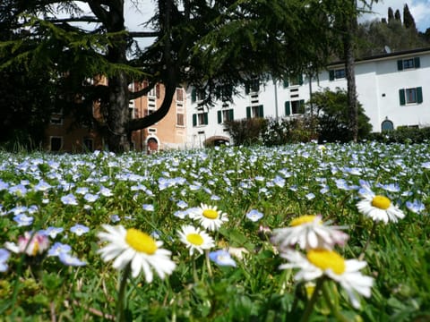 Facade/entrance, Spring