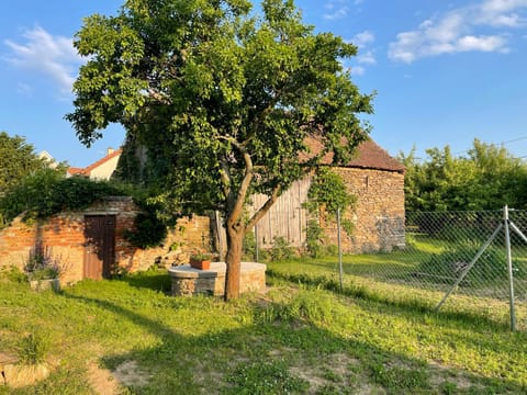 Garden, View (from property/room)