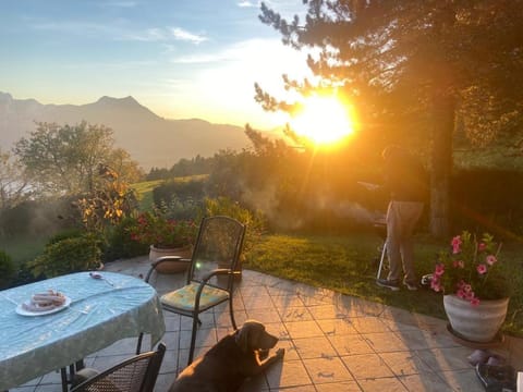 Patio, Natural landscape, Garden, Dining area