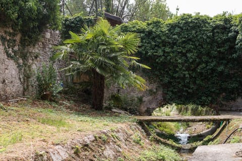 Patio, Garden, Garden view