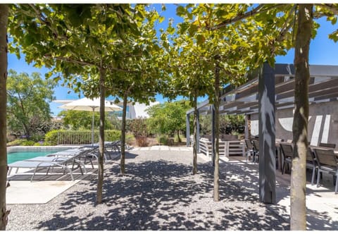 Patio, Garden, Garden view