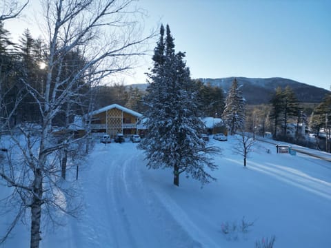 Natural landscape, Winter