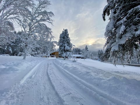 Day, Natural landscape, Winter