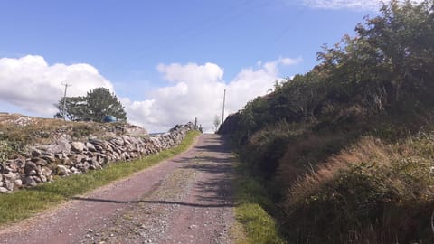 Cuckoo Tree House Glengarriff Beara Peninsula House in County Kerry