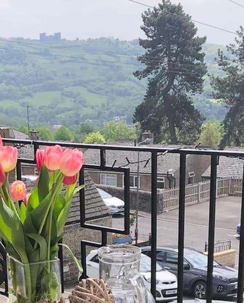 Natural landscape, View (from property/room), Balcony/Terrace