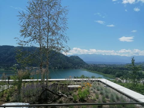 Balcony/Terrace, Lake view