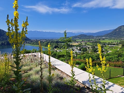 Lake view, Mountain view