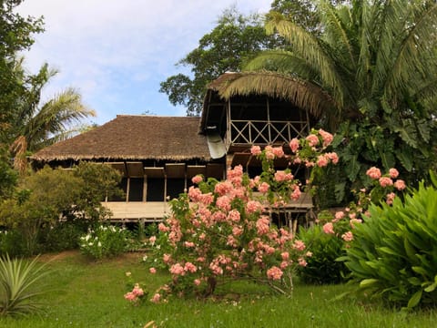 Property building, Garden