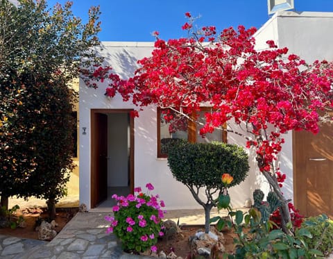 Property building, Garden, Garden view