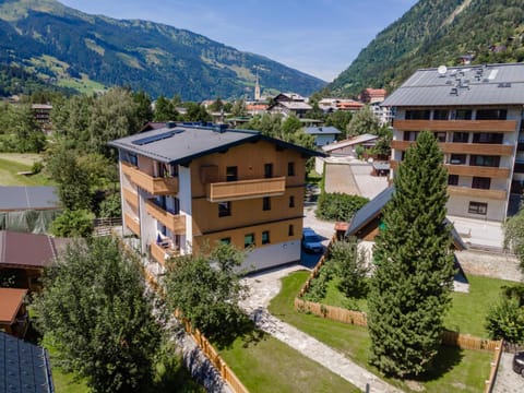 Property building, Summer