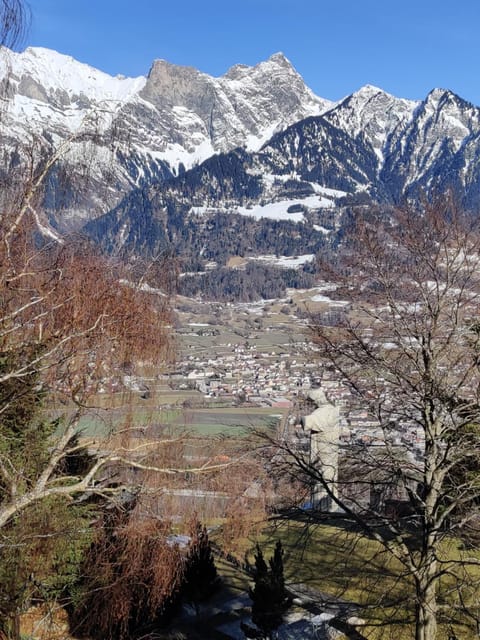 View (from property/room)