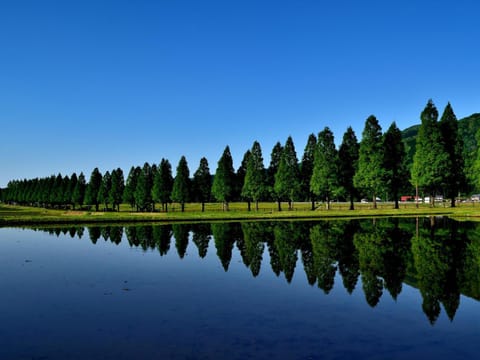 Nearby landmark, Neighbourhood, Natural landscape, Hiking