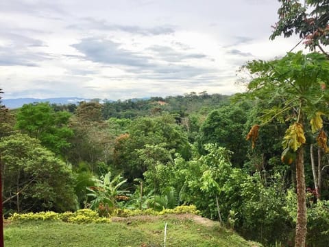 Hacienda Tarapoto Selva Alta Ecolodge House in Tarapoto