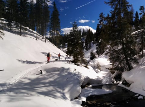 Off site, Winter, Sports