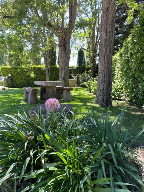 View (from property/room), Garden view, Garden view